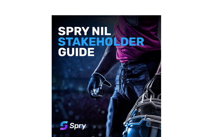 nil stakeholder guide
