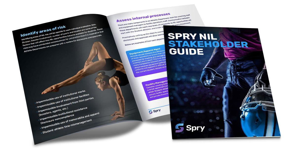 spry nil stakeholder guide x